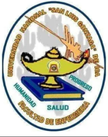 enfermeriaslg.milaulas.com